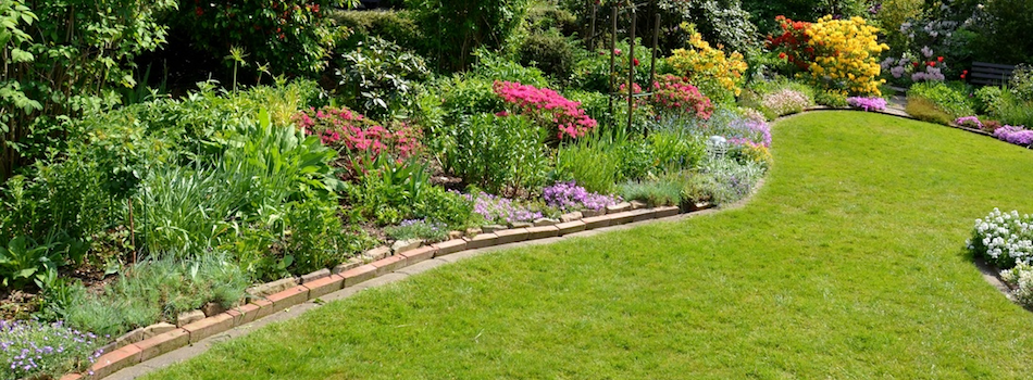 Die Gartenpflege und Neuanpflanzung bieten wir für Gärten und Parkanlagen an.